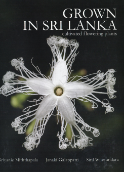 Grown in Sri Lanka : Cultivated Flowering Plants
