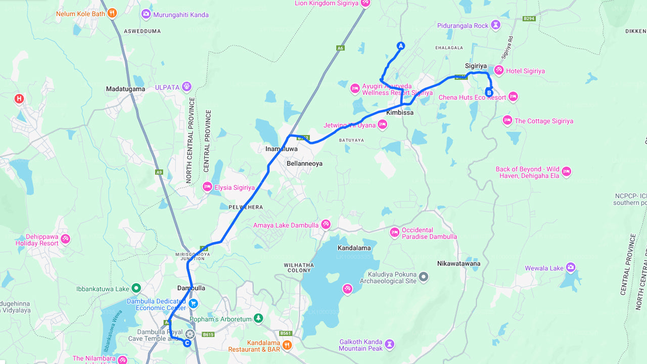 Sigiriya Rock och Dambulla Cave från Sigiriya