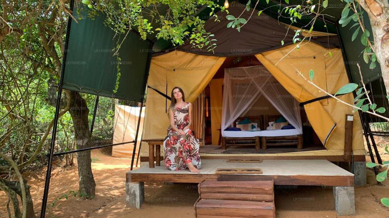 Baksidan av Beyond - Safari Lodge, Yala