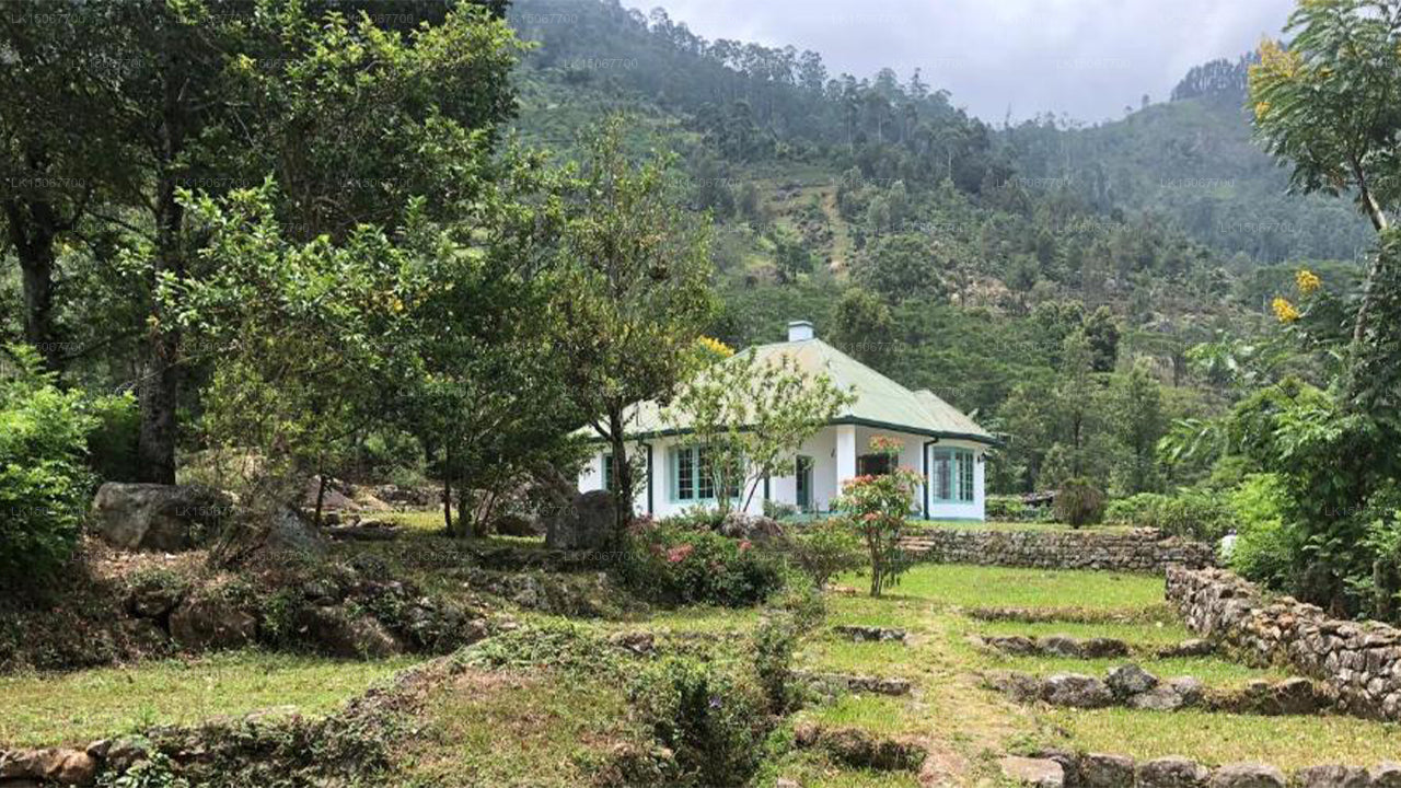 Marknadsföring, Haldummulla