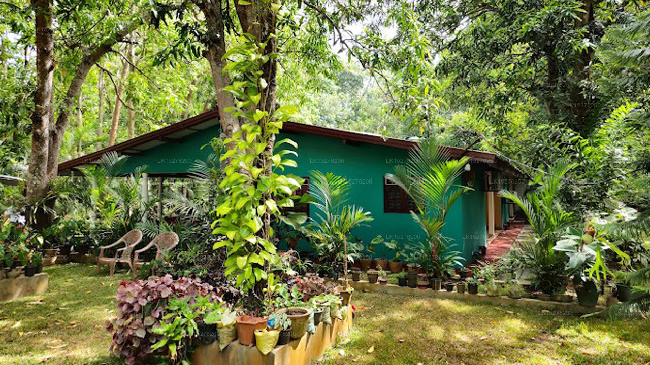 Palitha Homestay, Sigiriya