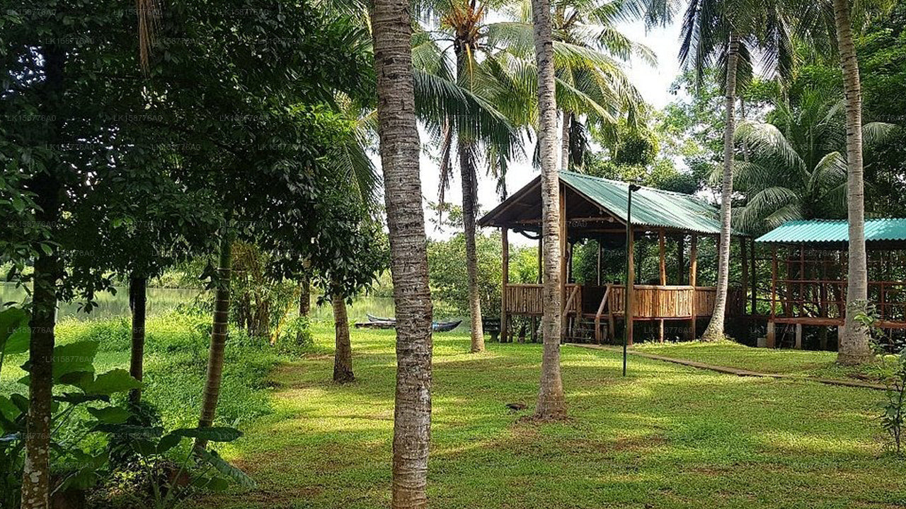 Yohan River Face Safari Resort, Udawalawe