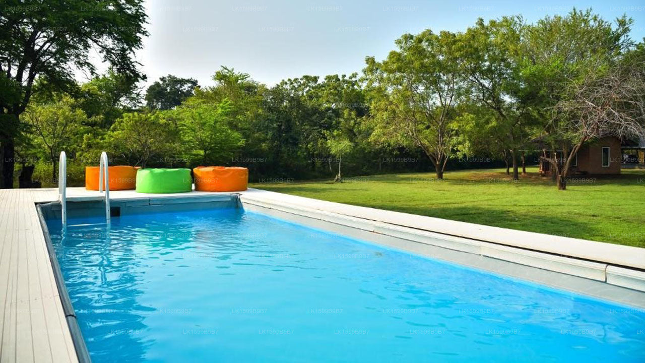 Mahoora Safari Camping, Yala