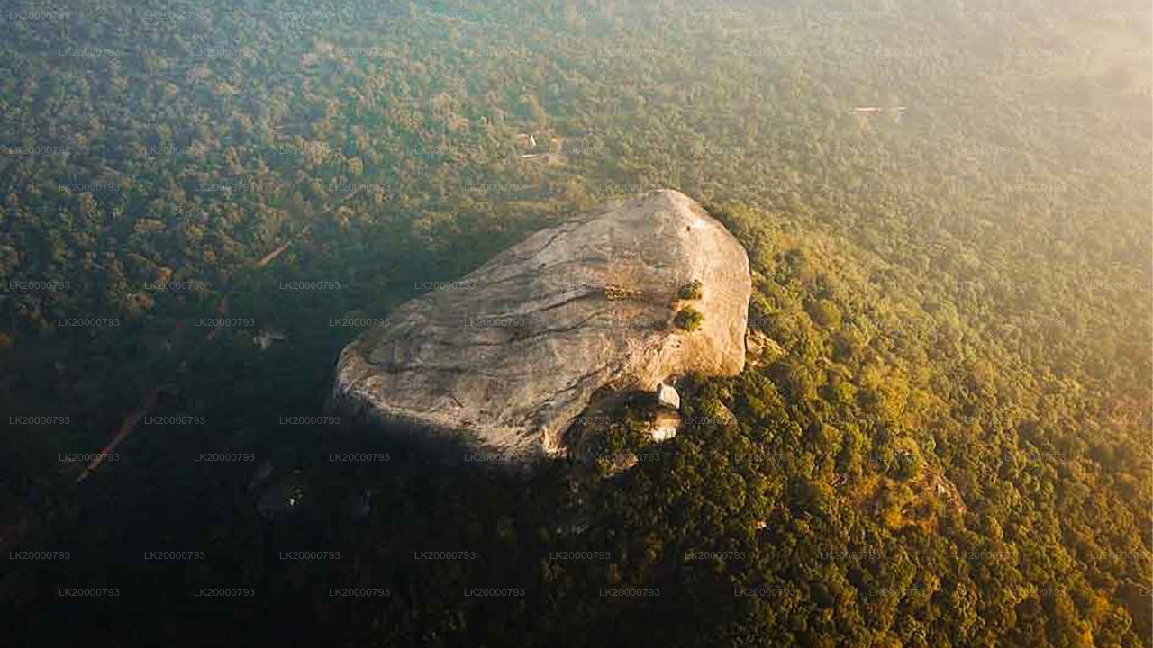 Guidad tur i Pidurangala med entrébiljetter