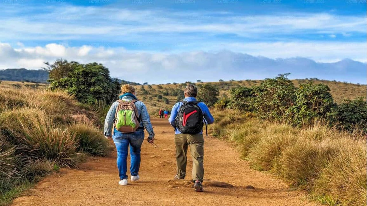 Guidad tur i Horton Plains nationalpark med entrébiljetter