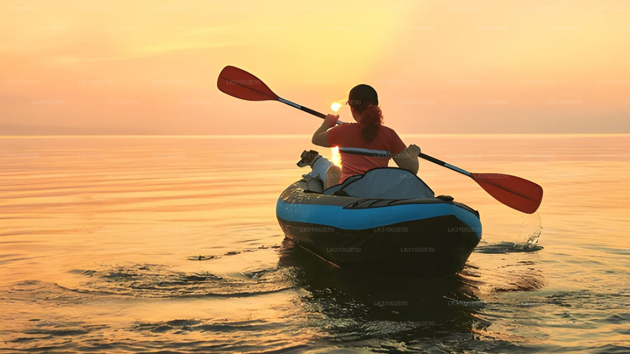 Lagunkajakpaddling från Pasikudah
