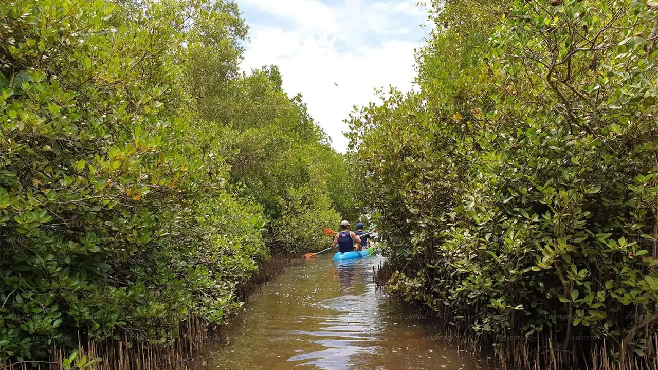 Koggala Lake Kayaking