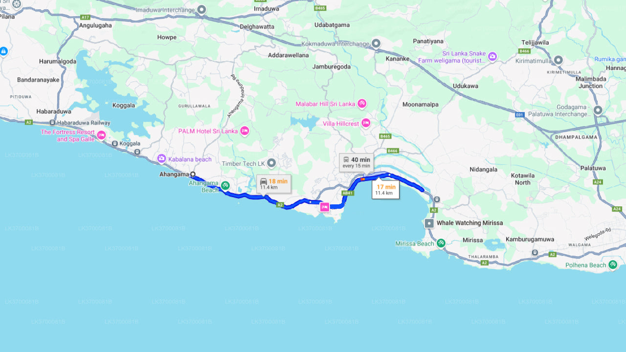 Valskådning från Ahangama på delad båt