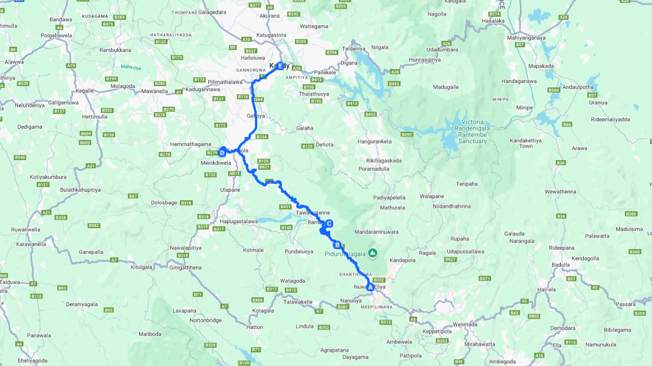 Naturskön privat transfer från Nuwara Eliya till Kandy med sightseeing