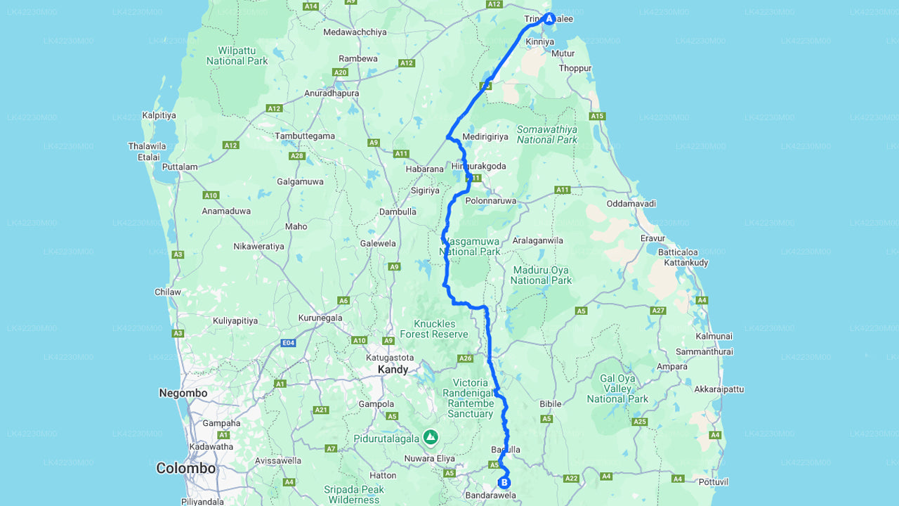 Trincomalee City to Ella City Private Transfer