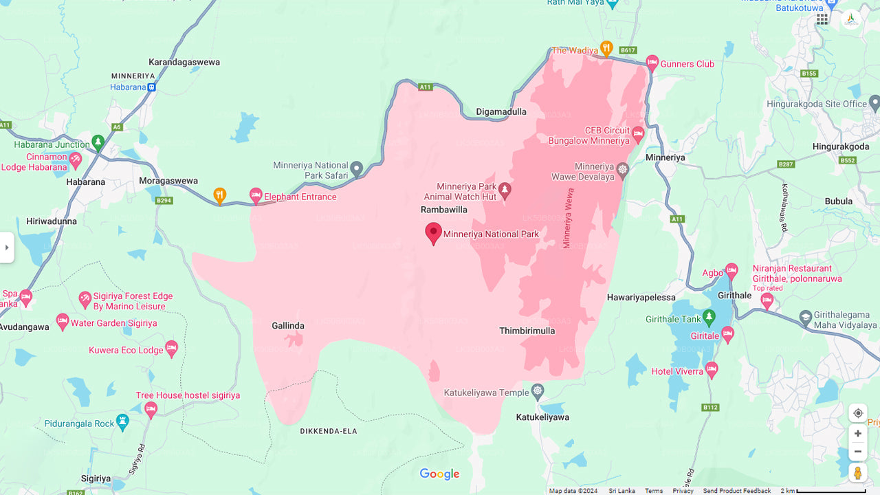 Minneriya Nationalpark Privat Safari