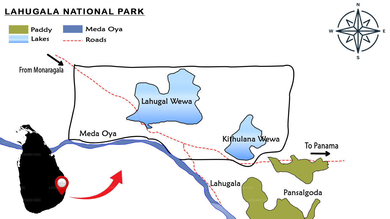 Lahugala Kitulana National Park Privat Safari