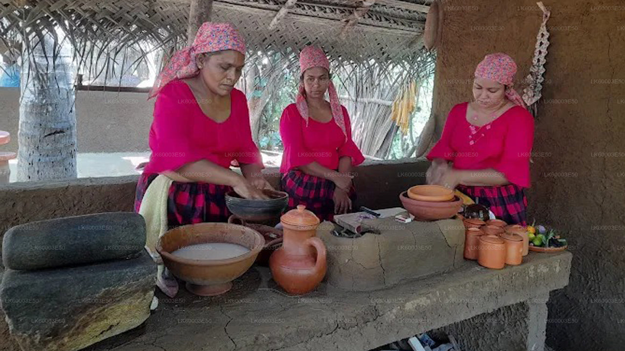 Sri Lankas jordbruk, ädelstengruva och byupplevelse av Ceylon 1850