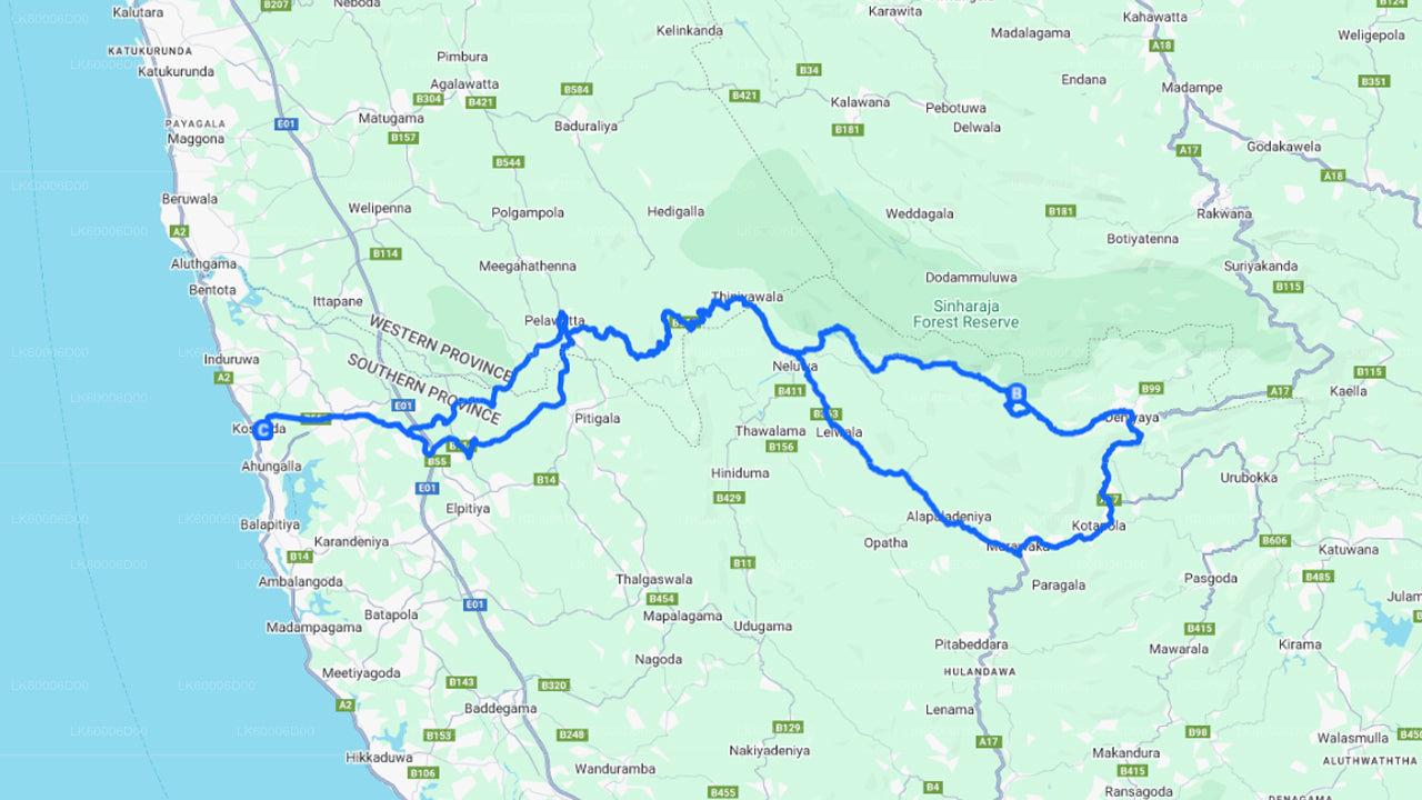 Guidad tur till Sinharaja regnskog från Kosgoda