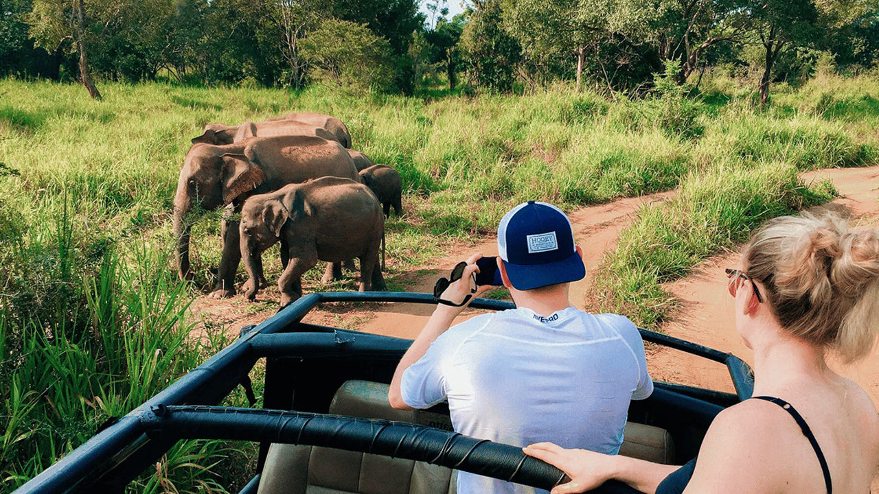 Polonnaruwa Heritage och Hurulu Eco Park Safari från Pasikuda