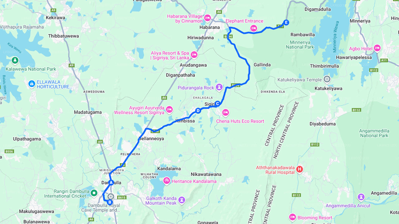 Sigiriya Rock och Wild Elephant Safari från Dambulla