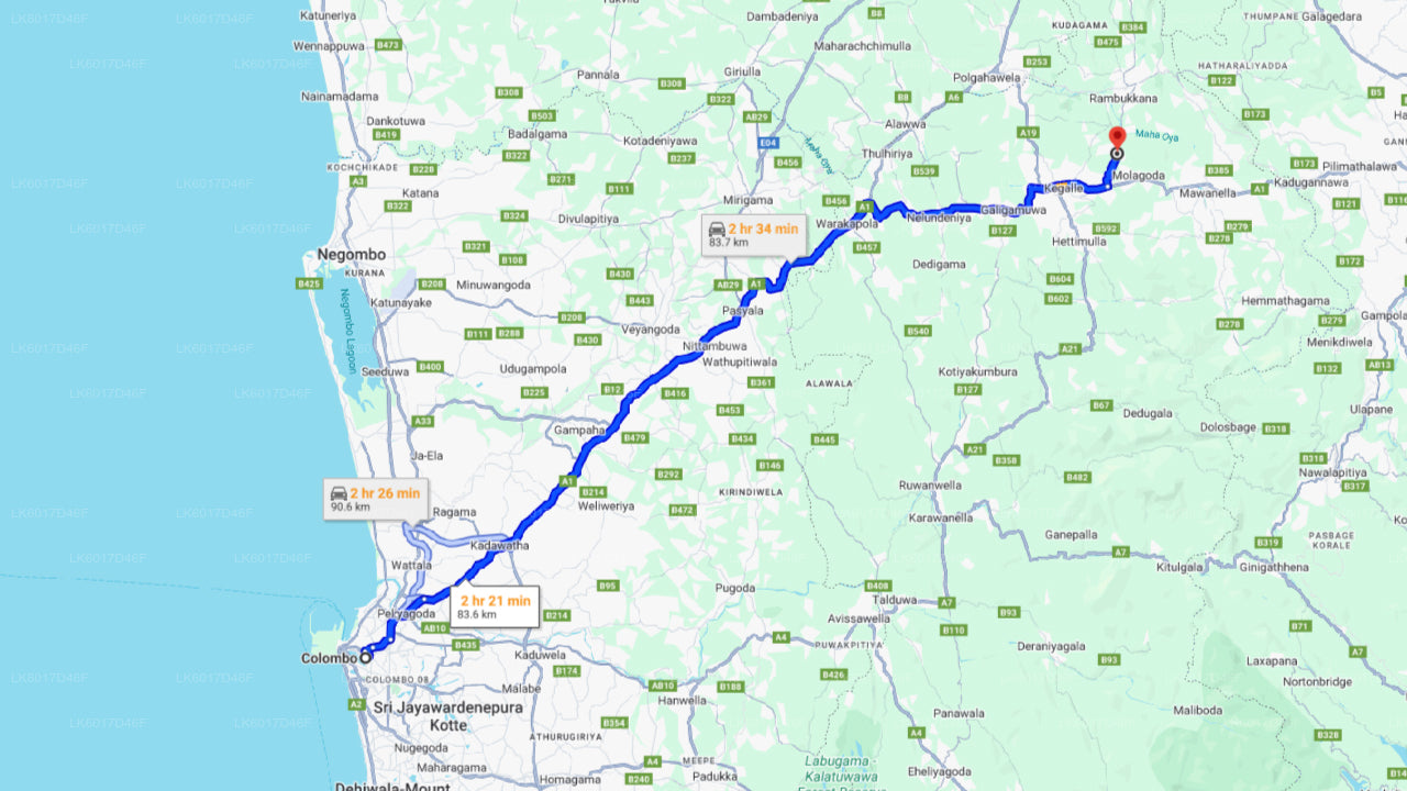 Millennium Elephant Foundation från Colombo