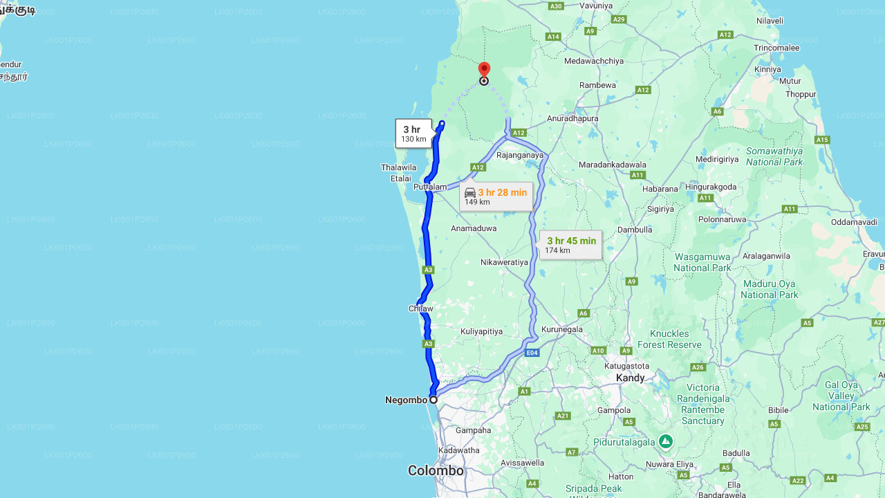 Wilpattu National Park Safari from Negombo