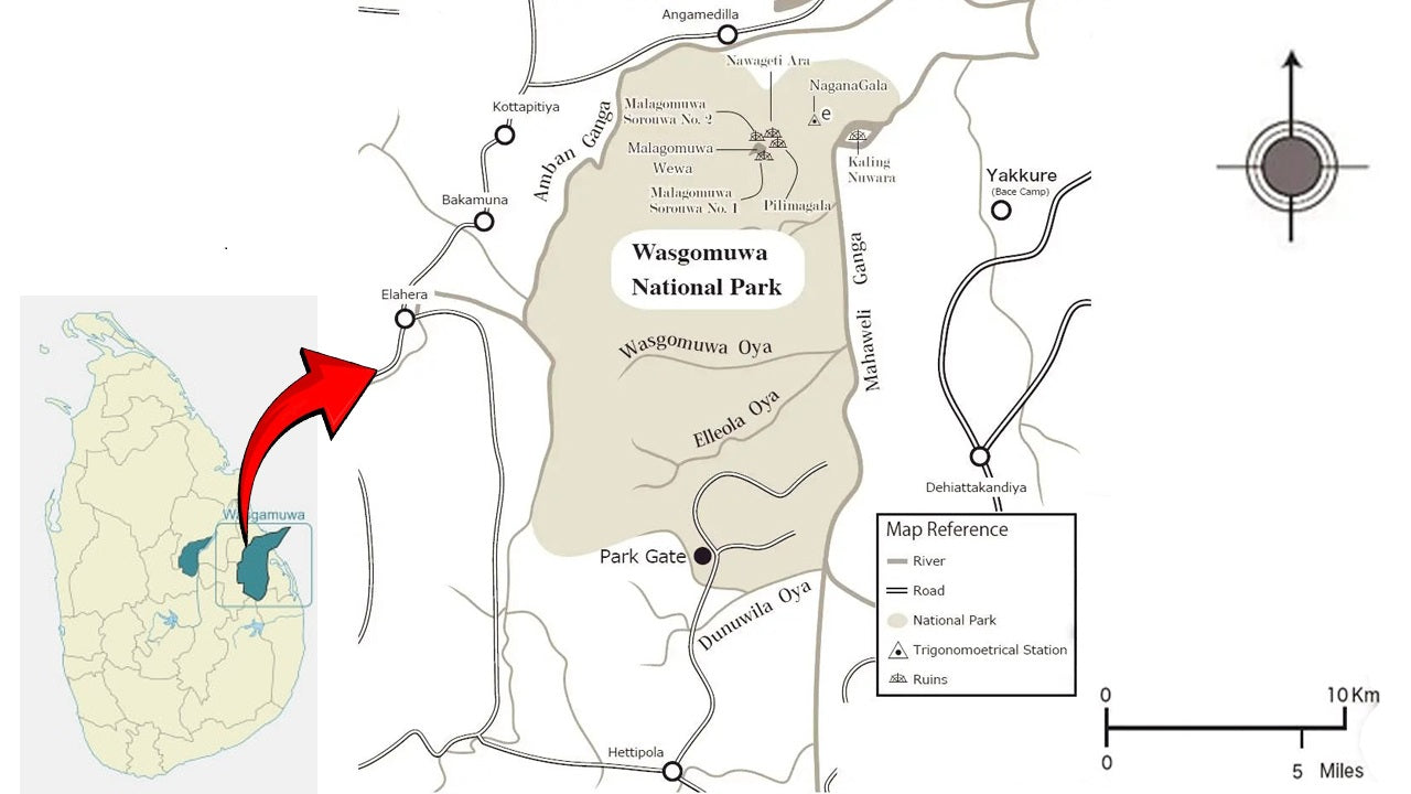 Wasgamuwa nationalpark privat safari med naturforskare