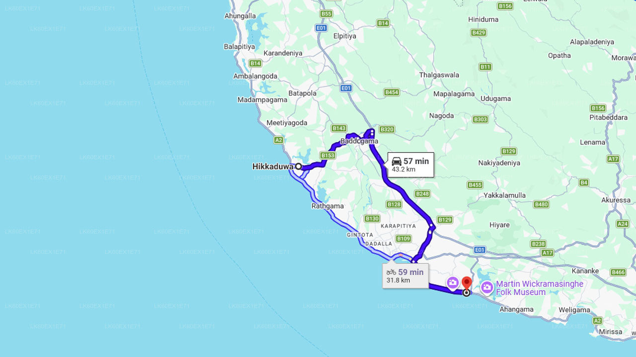 Sköldpaddungarna släpps fria från Unawatuna