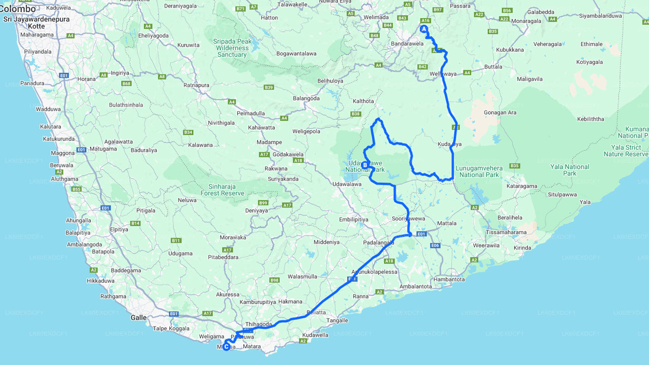 Privat rundtur från Ella till Mirissa med Udawalawe Safari