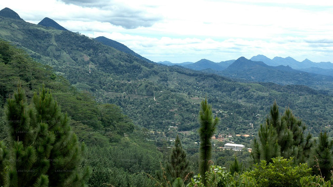 Vandring till Lejonklippan från Sinharaja regnskog