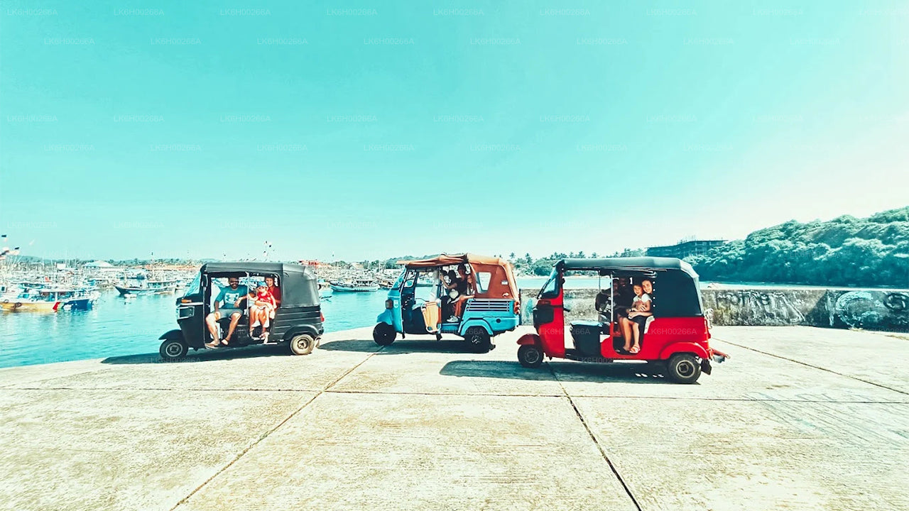 Tuk Tuk Safari på sydkusten från Galle
