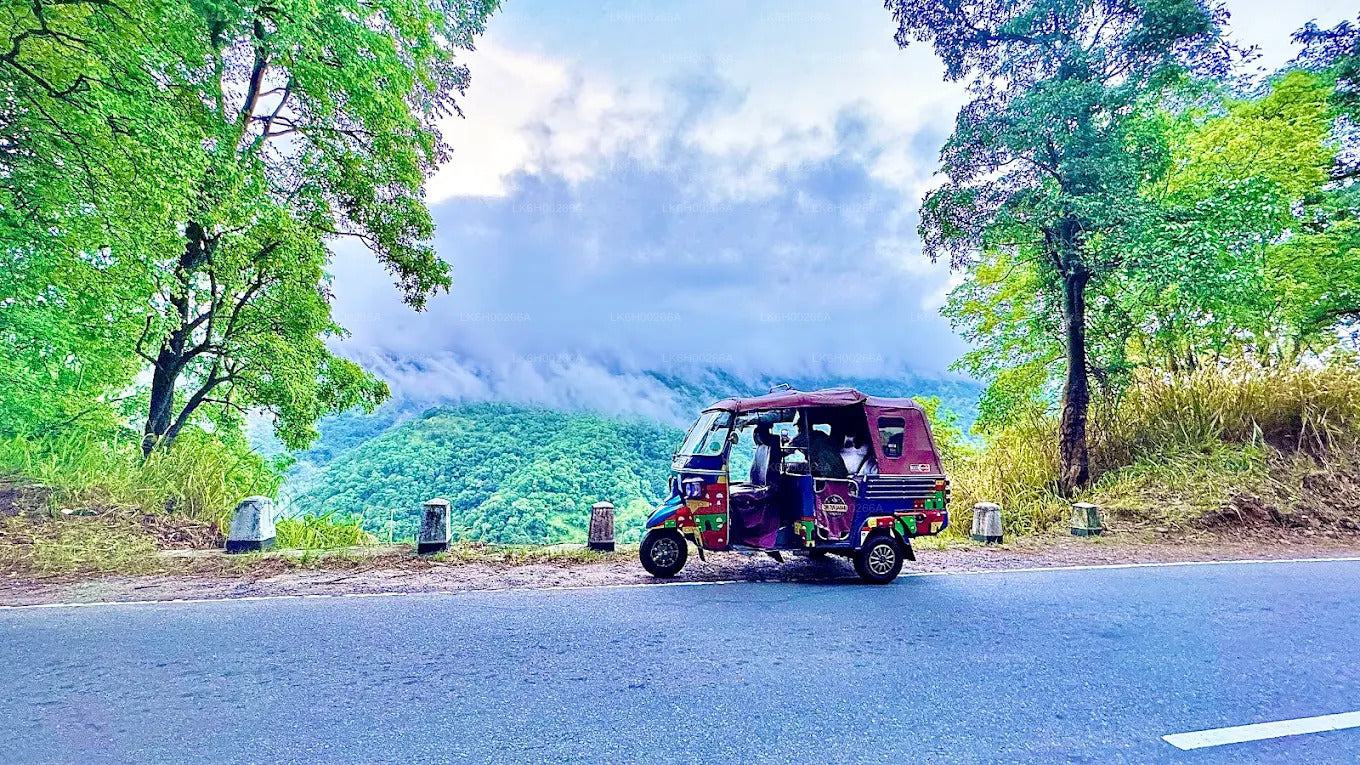 Tuk Tuk Safari på sydkusten från Galle