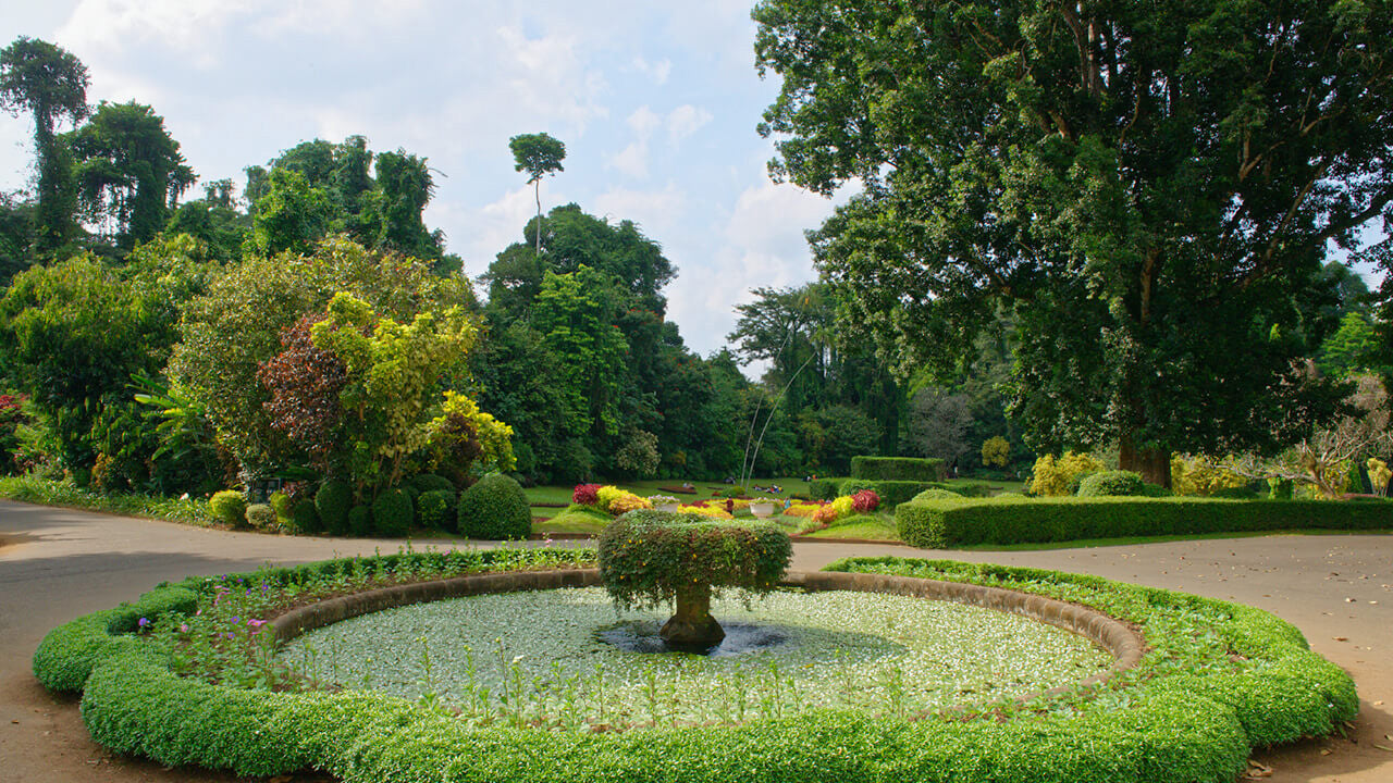 Peradeniya botaniska trädgård Entrébiljetter