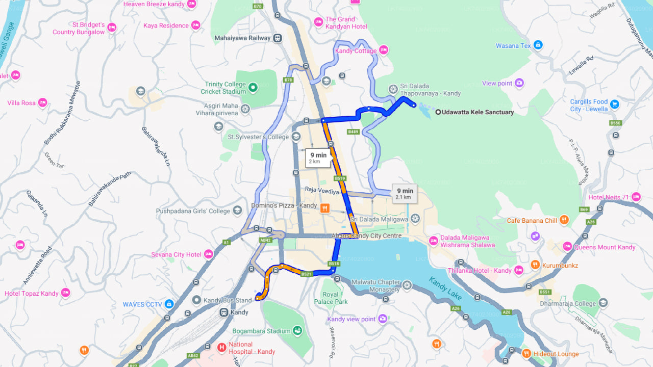 Vandring i Udawattakele-skogsreservatet från Kandy
