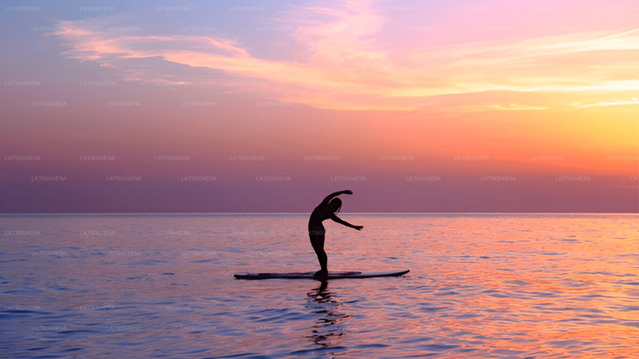 3 timmars delad solnedgångskryssning från Galle
