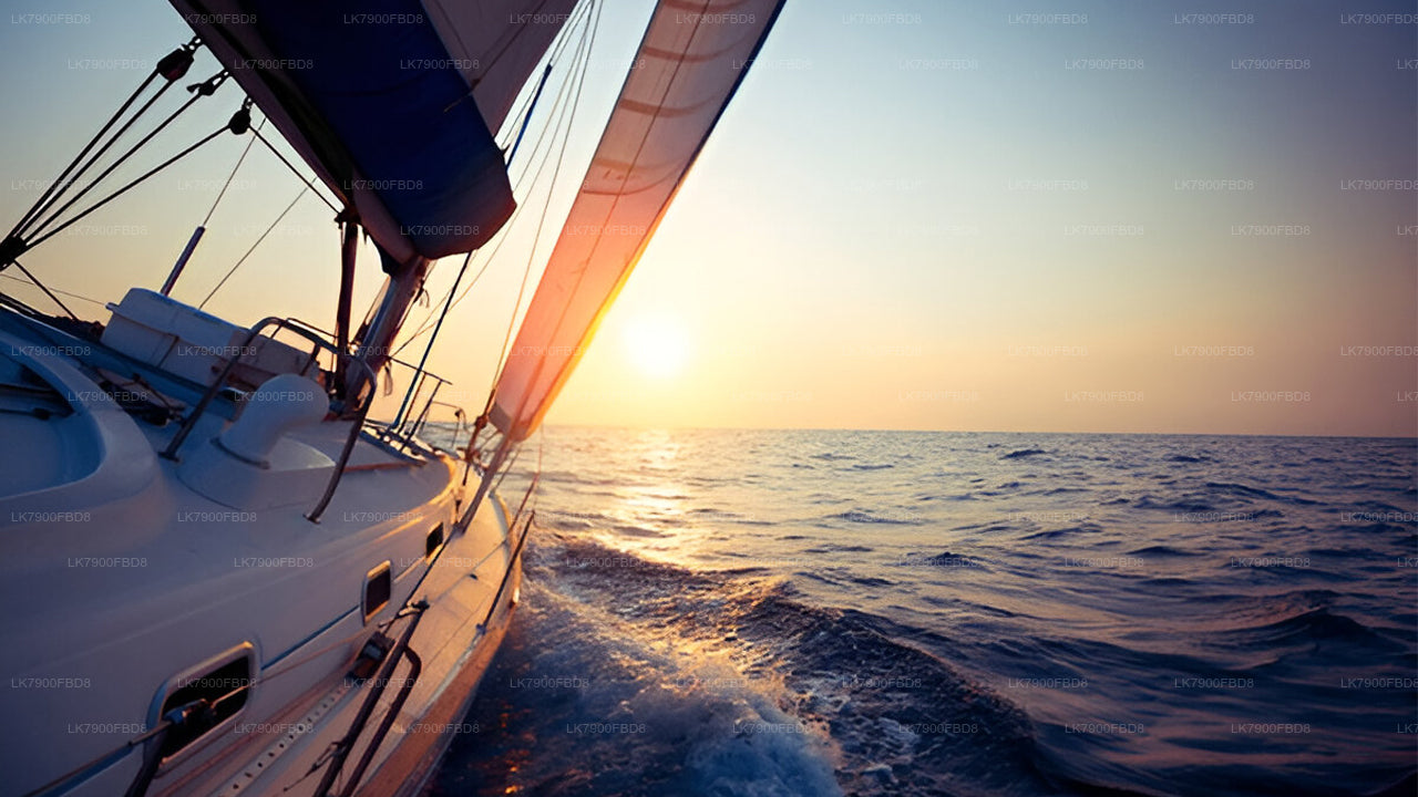 6 nätters kryssningssemester i Mirissa