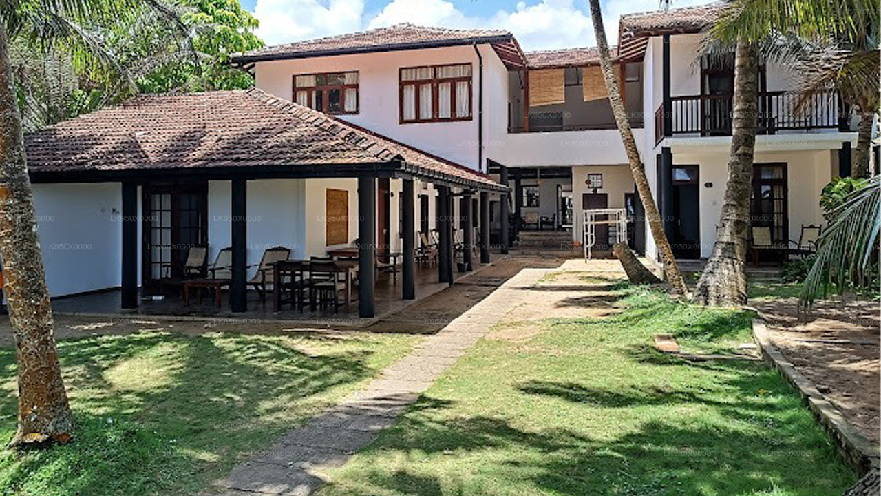 turtles rest & curry bowl, Hikkaduwa