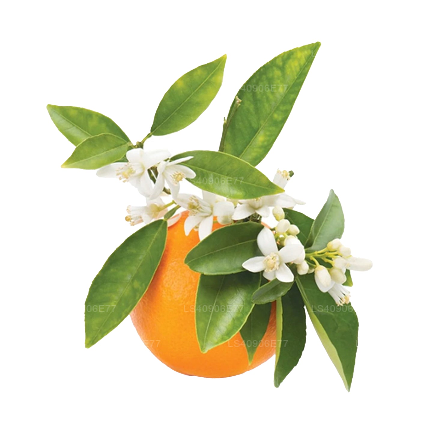 Lakpura Petitgrain eterisk olja (15 ml)