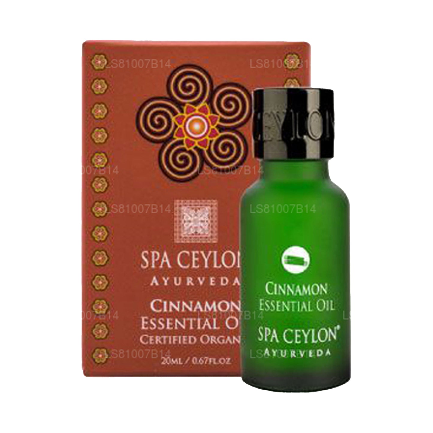 Spa Ceylon kanel - eterisk olja (20ml)