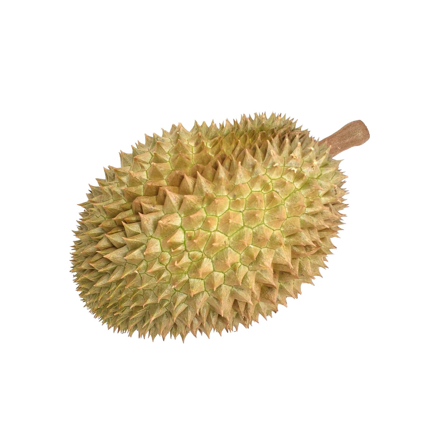Lakpura® Durian