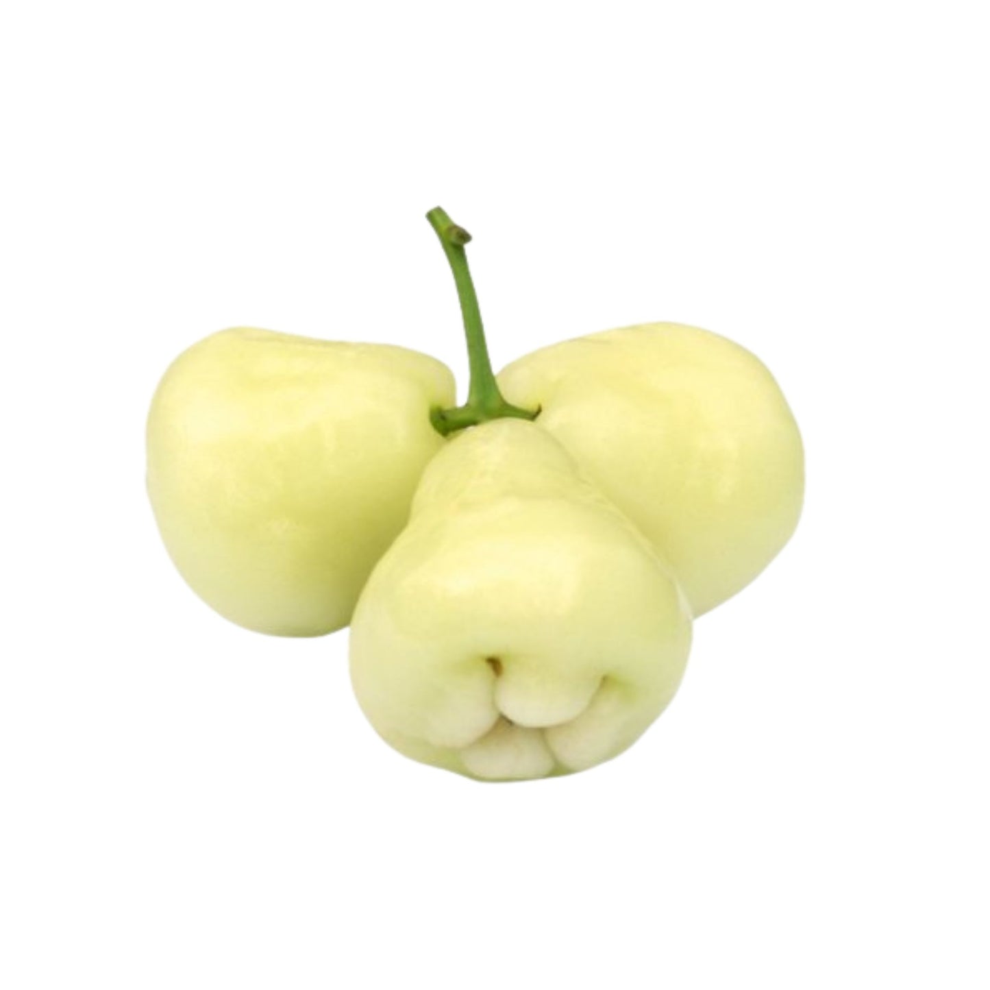 Lakpura® vit ros äppelväxt