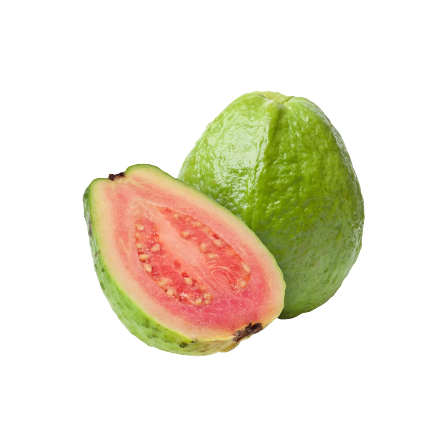 Lakpura Ceylon röd guava fruktväxt