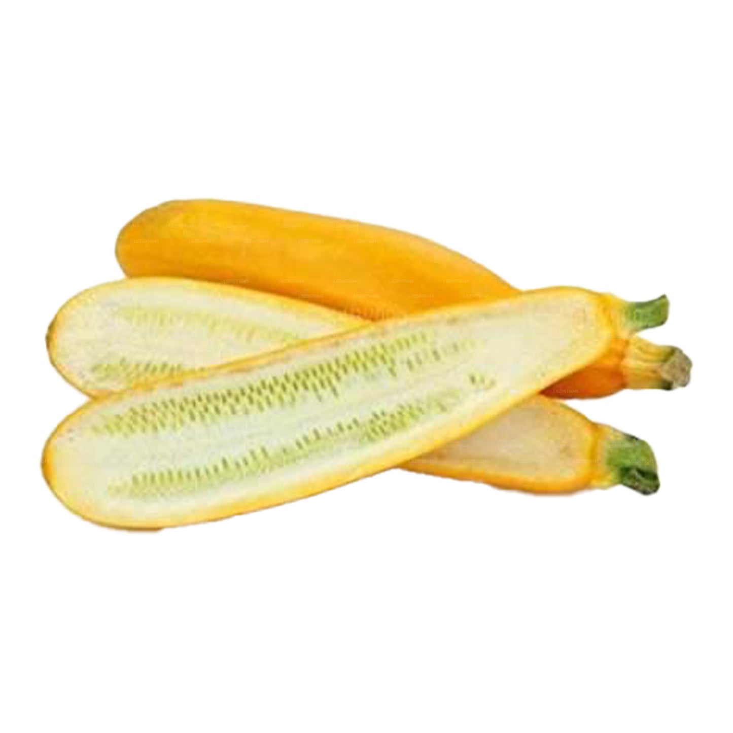 Zucchini Gul