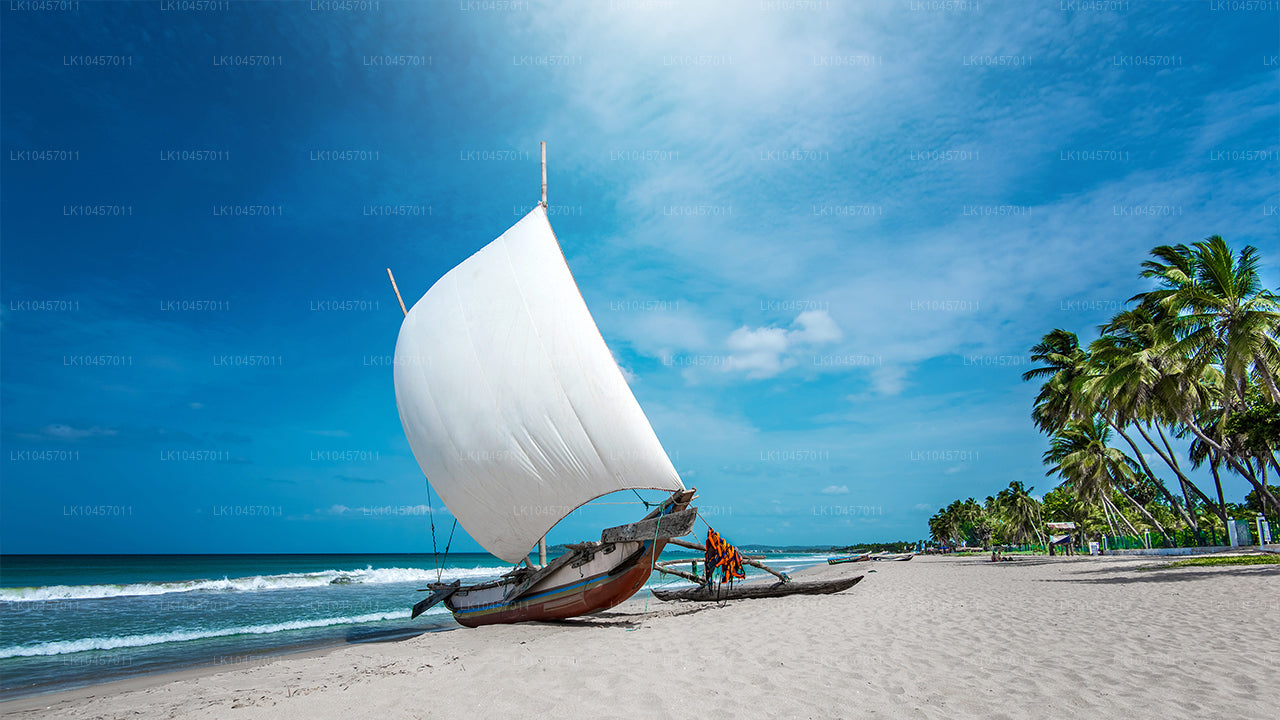 Stranden och staden (4 dagar)
