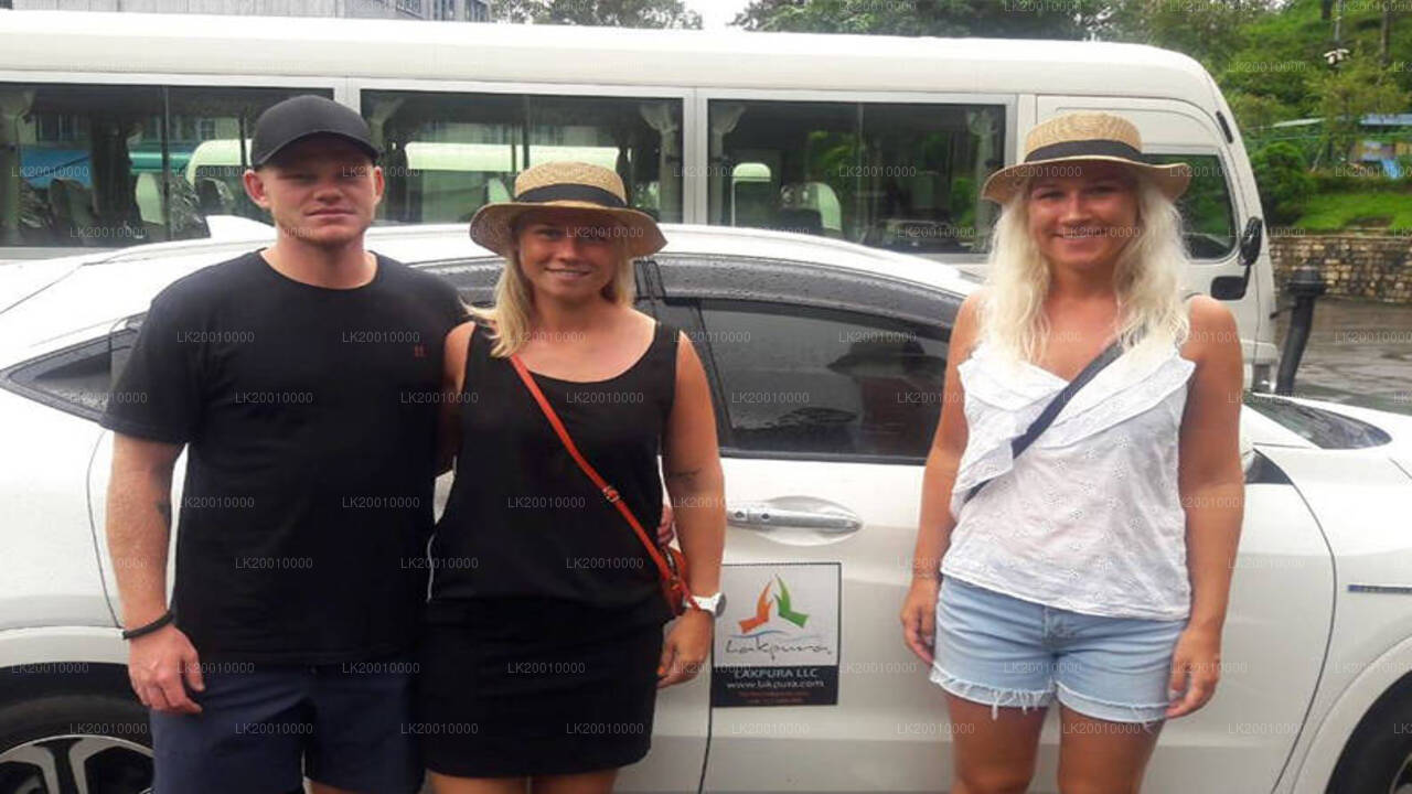 Chauffördriven bil (Standard) Hyrbil