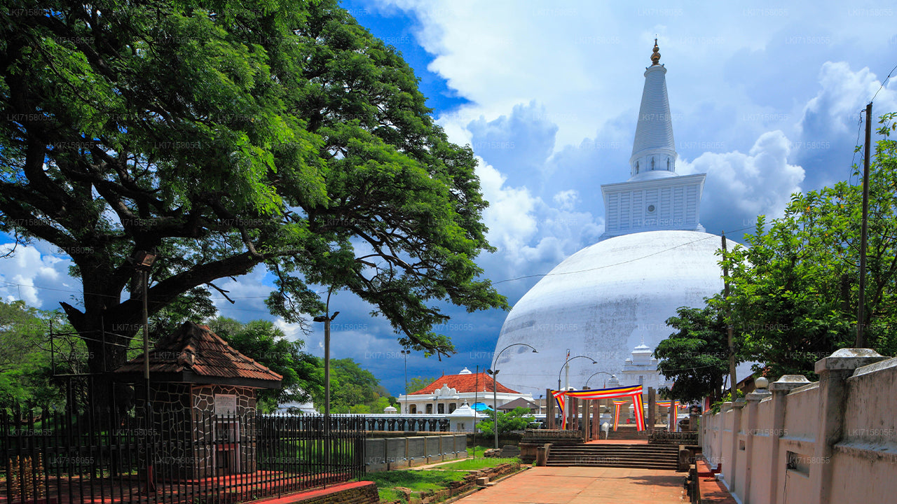 Andlig erfarenhet från Anuradhapura