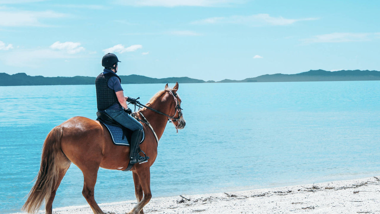 Horse Riding