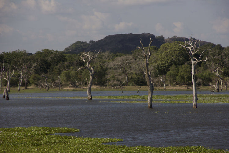 Katagamuwa Accommodations