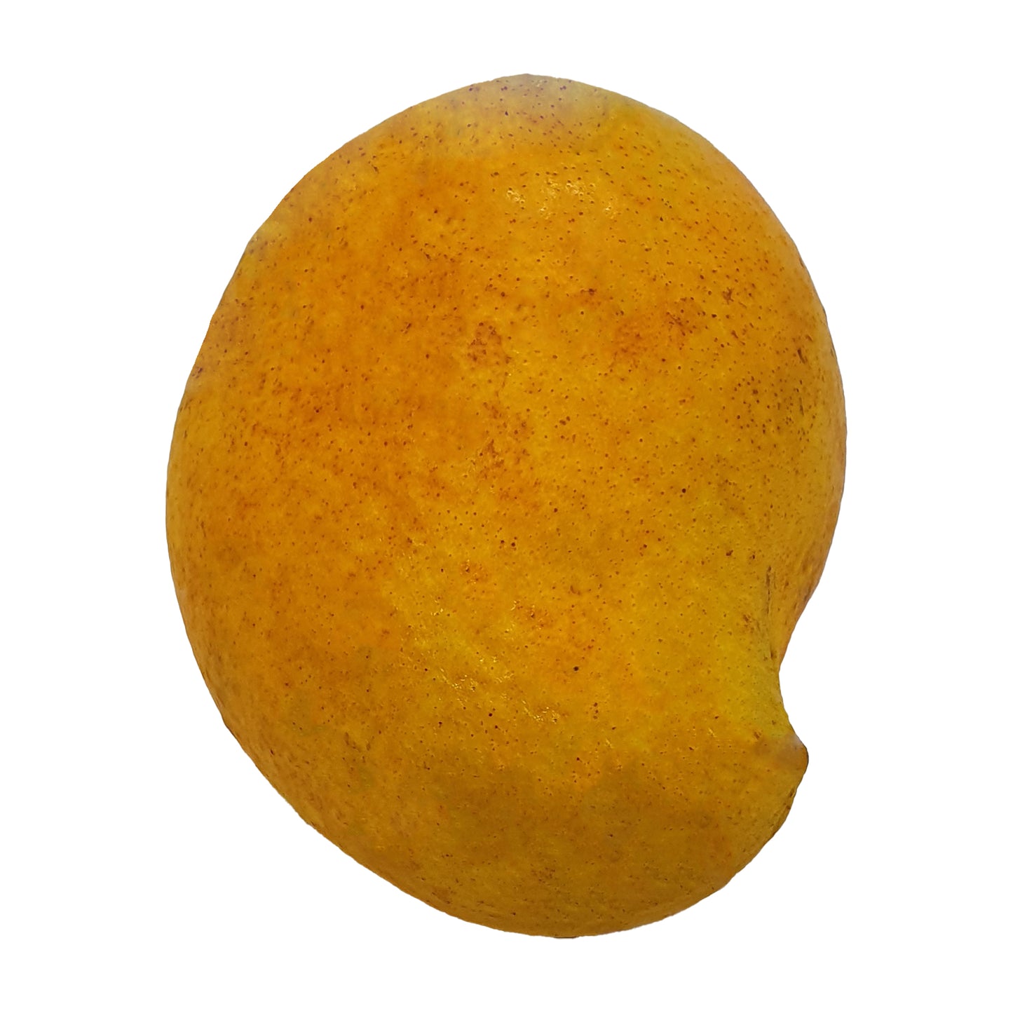 Alphonso Mango (1 kg)