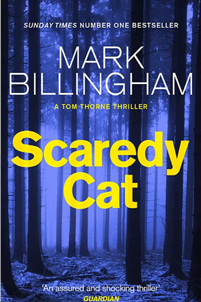 Scaredy Cat