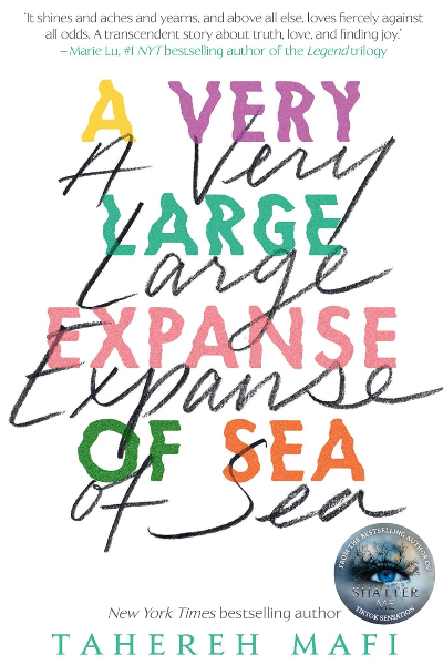 A Very Large Expanse of Sea