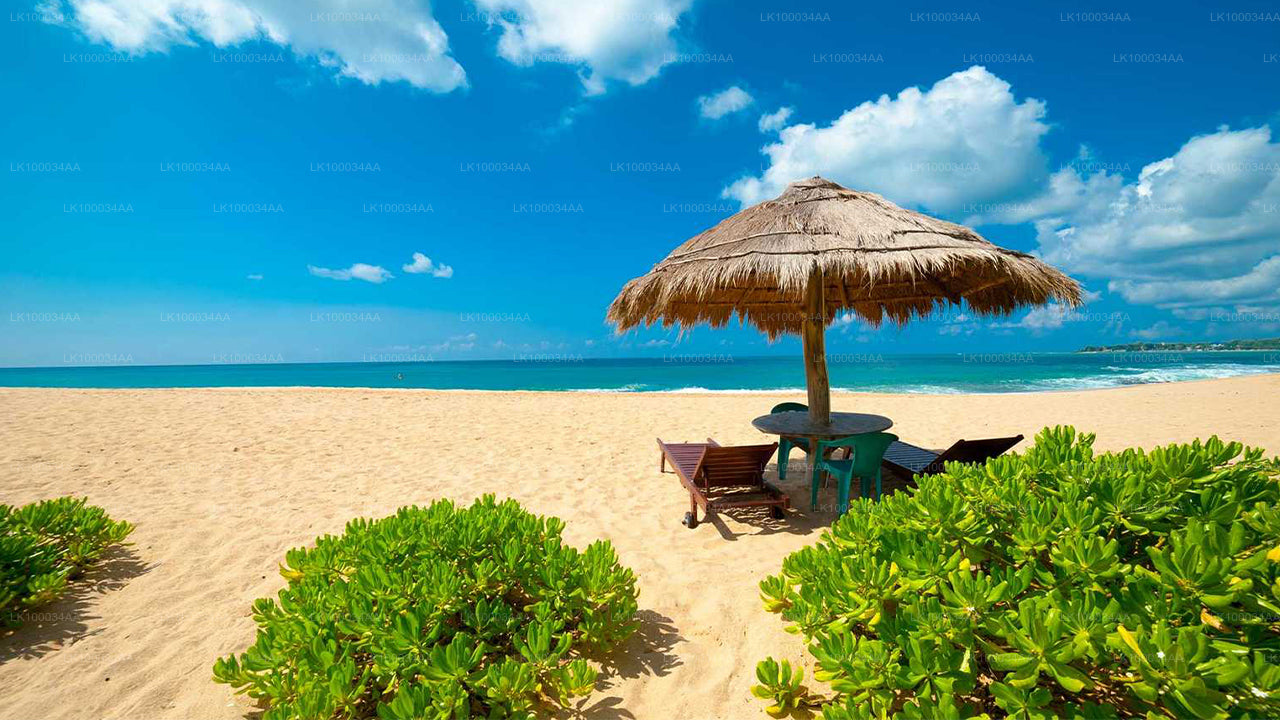 Upptäck Sri Lanka med Mahesh Abeyratne