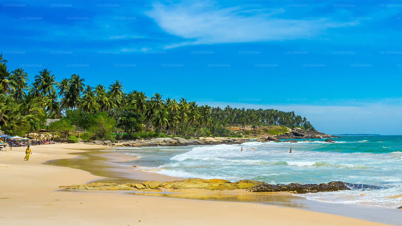 Upptäck Sri Lanka med Mahesh Abeyratne