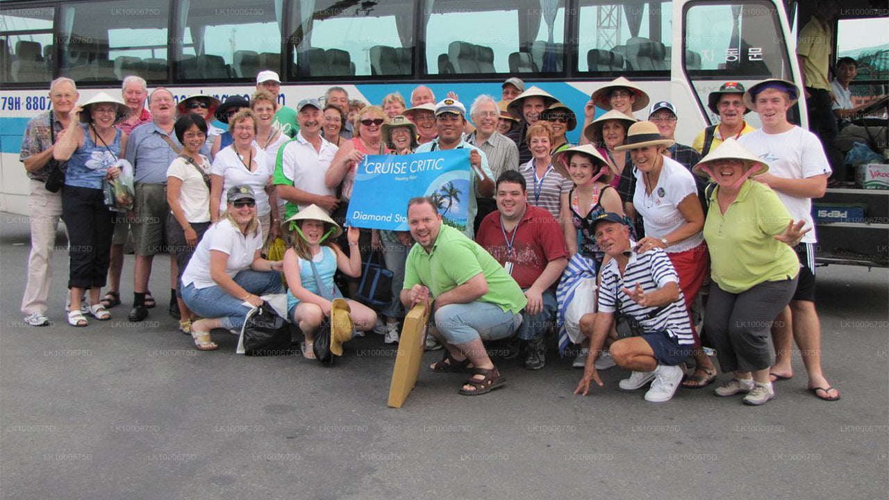 Handungoda och Galle från Dikwella City (privat dagstur)